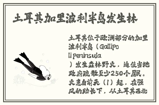 小草影视在线观看播放